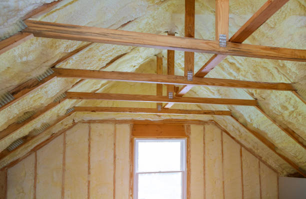 Best Geographic-Specific Insulation Services in El Dorado Hills, CA