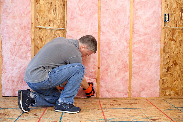 Best Specialized Insulation Services in El Dorado Hills, CA